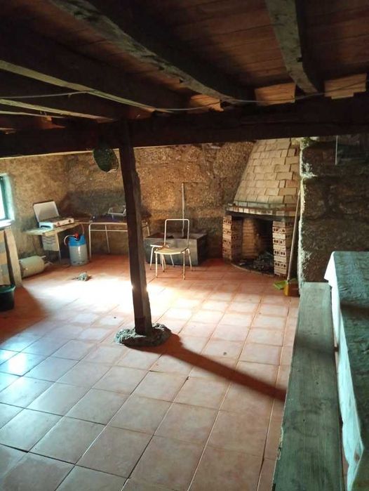 Quinta de 10 Hectares de Olival