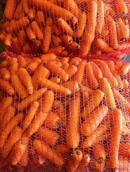 marchew odsort pakowana po 20 kg