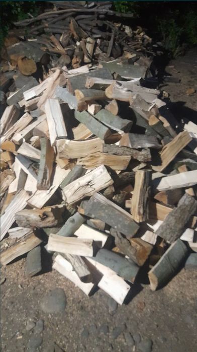 Продам дрова тверді та мягкі породи