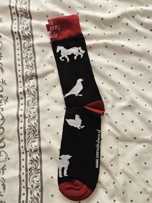 Nowe skarpetki z motywem zwierząt