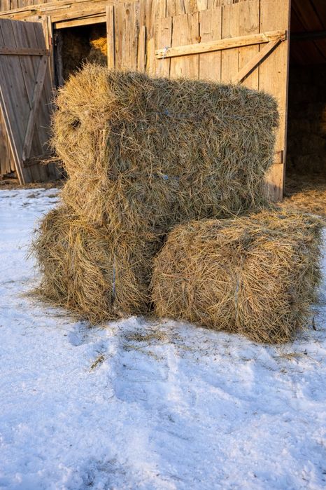 Продам сіно лугове