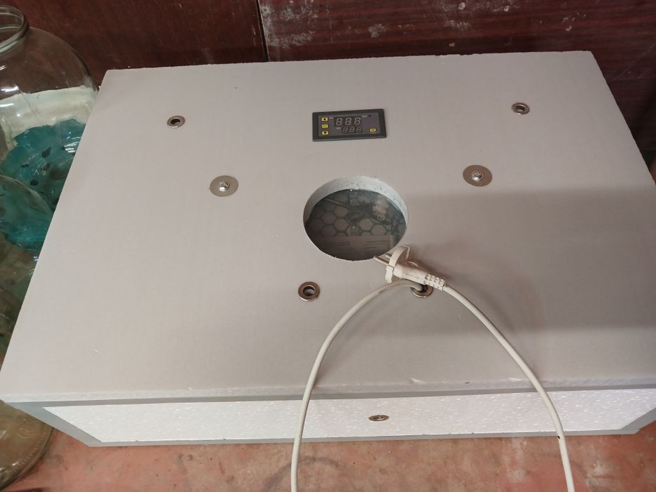 Инкубатор побутовий