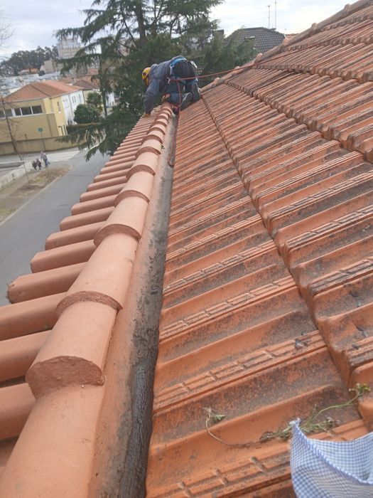 Trabalhos em Altura , Corte /Poda Árvores ,Formação Certificada