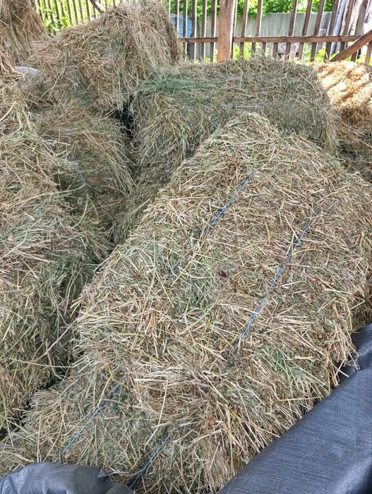 Продам тюки. Зерно. Кукурудза. Пшениця. Ячмінь