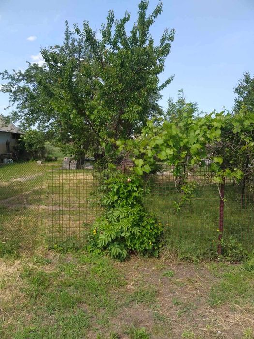 с. Балівка. Продам ДВІ поряд земельні ділянки під будівництво