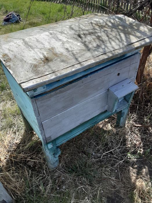 Бджолопакет 1000 грн.