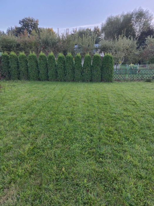 Działka ROD 400m2, Nysa ul. Mickiewicza