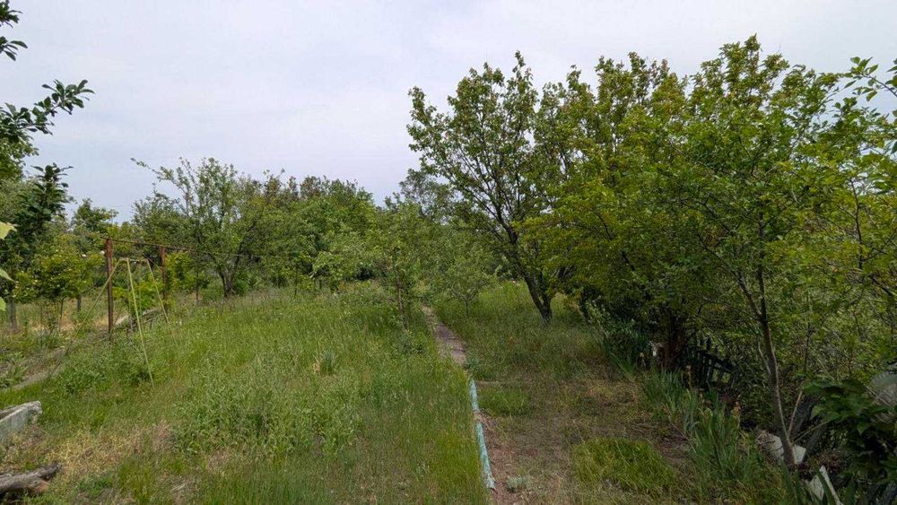 Продам Дачу в Тарамском, Сухачевка