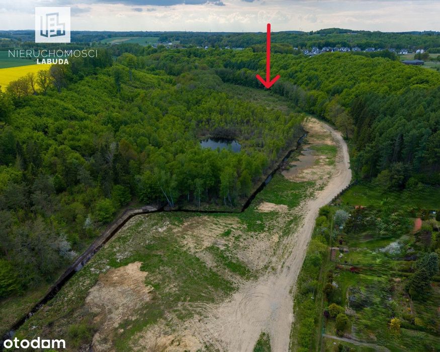 Duża działka z WZ przy lesie i jeziorze – Warzenko