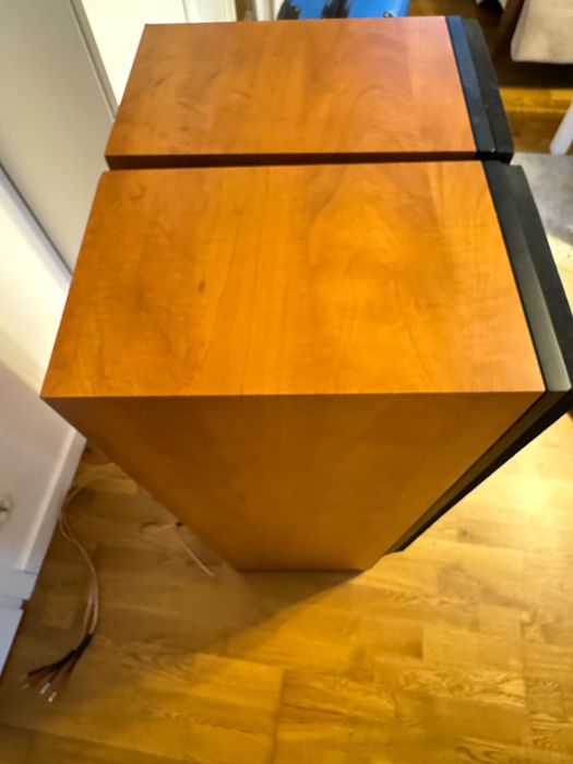 Dynaudio audience 82