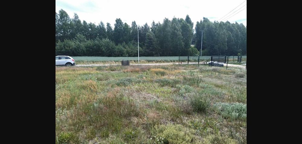 Sprzedam działkę budowlaną w Jeruzalu