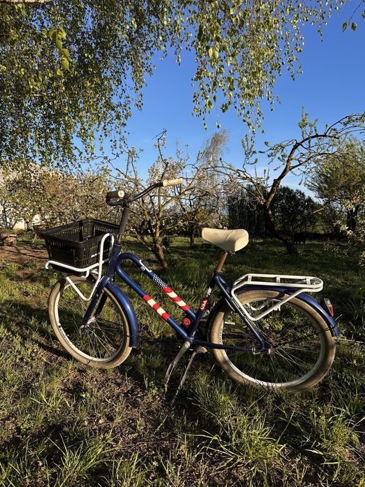 Rower batavus damski