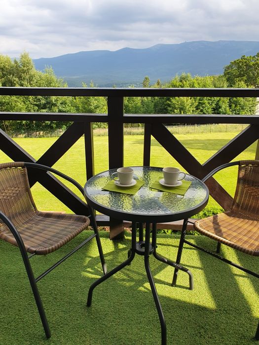 Wolny 6-8.02! Green Apartments,Bluesik,z widokiem Szklarska Poręba