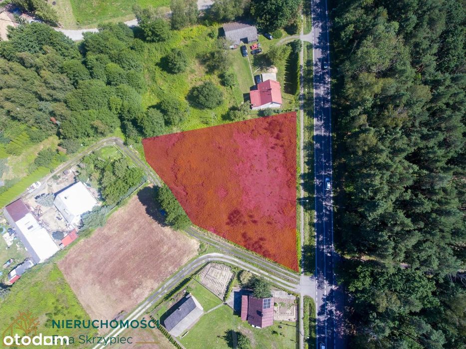 Atrakcyjna działka inwestycyjna przy DW875, Kolbuszowa Dolna