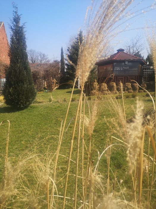 Działka budowlana w Pyskowicach
