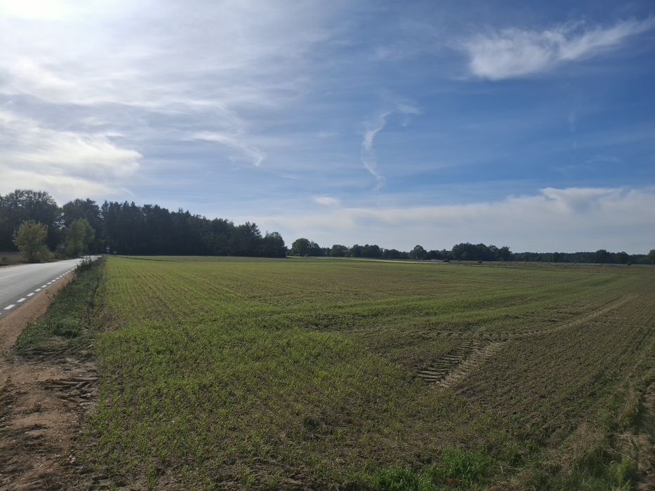 Działki budowlane w Bindużce – bliskość natury, lasów i rzeki Narew! - Widok 2