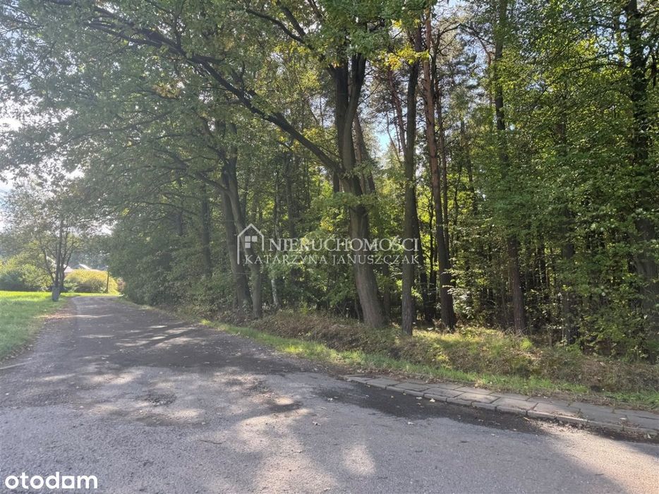 Działka Budowlana - Idealna Dla Developera - Widok 4