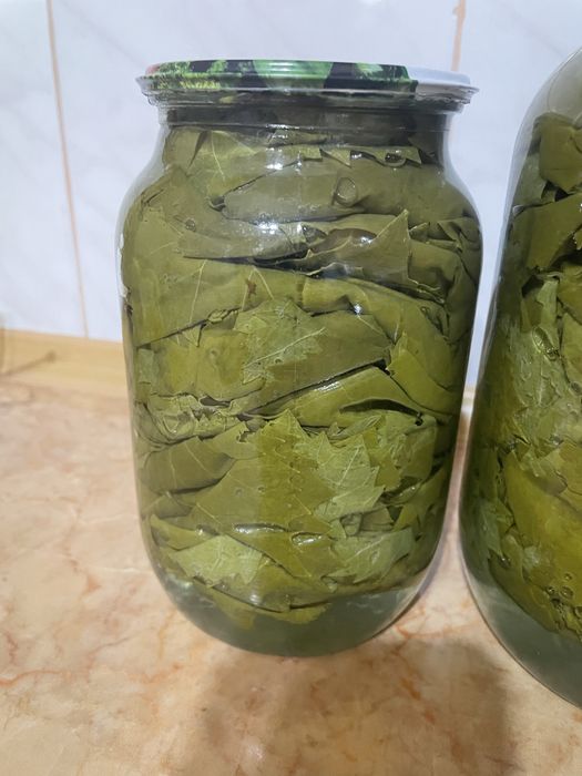 Продам листья винограда