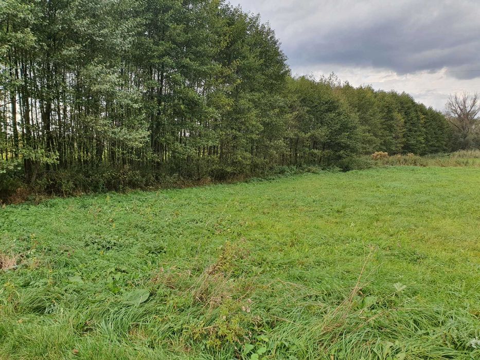 Malownicza działka 600 m² z dostępem do rzeki – Bruliny Nasielsk - Widok 3