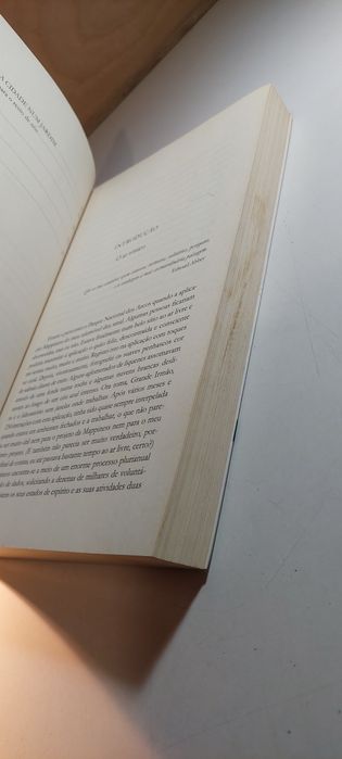 A Natureza Cura - Florence Williams