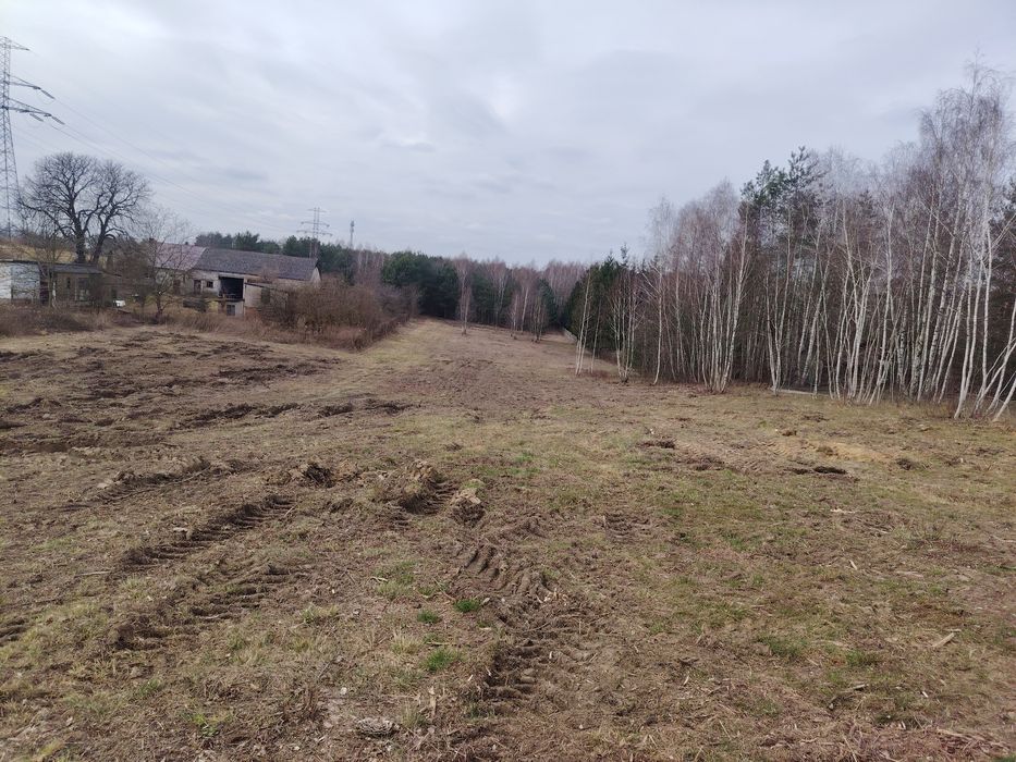 Rosanów 99.000 zl