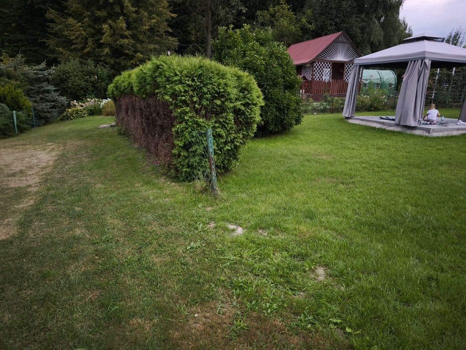 Działka ROD Kolejarz Bielsko-Biała lotnisko - Widok 2