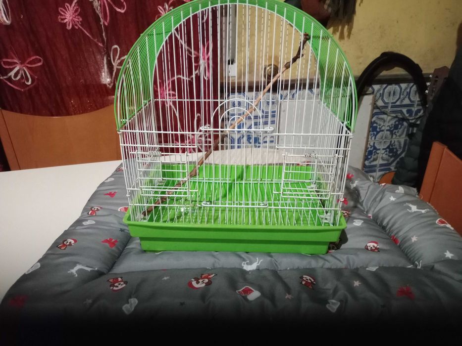 Gaiola para pássaros pequenos