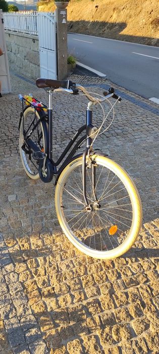 Bicicleta estilo holandesa