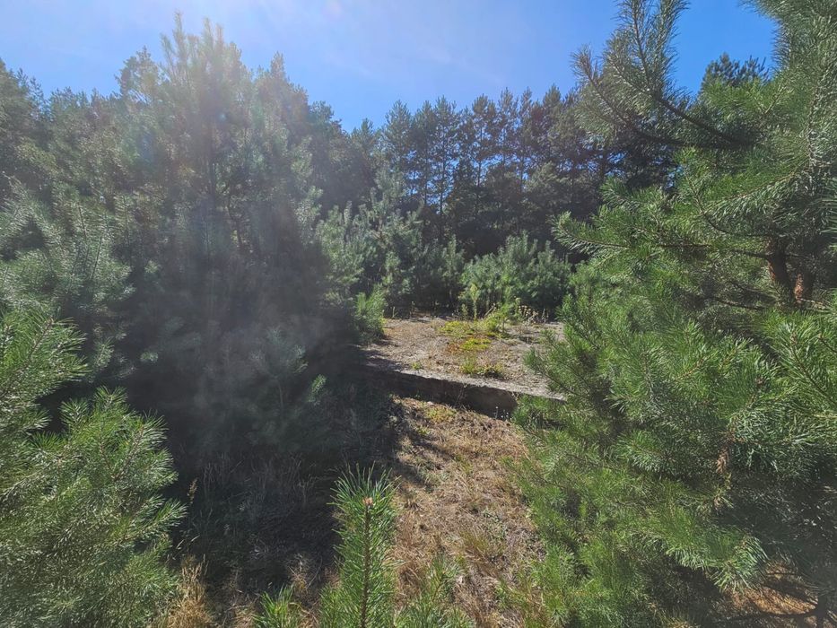 Dzialka rolna w oklicy lasu i rzeki Narew