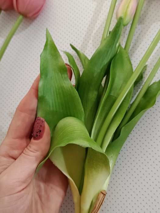 Гелеві рожеві тюльпани