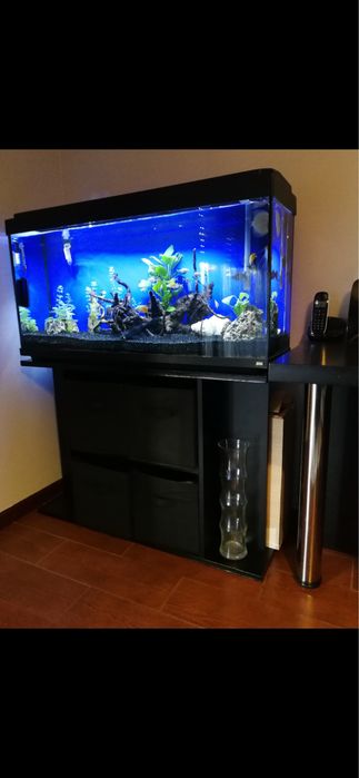 Aquário 180L Completo – Fluval + EHEIM + Acessórios
