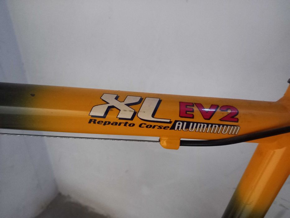 Bicicleta Bianchi Pantani XL EV2