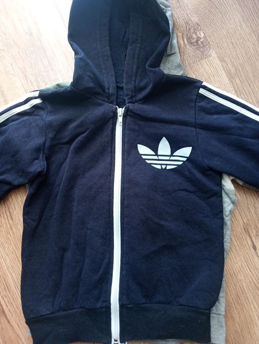 Bluza dla chłopca