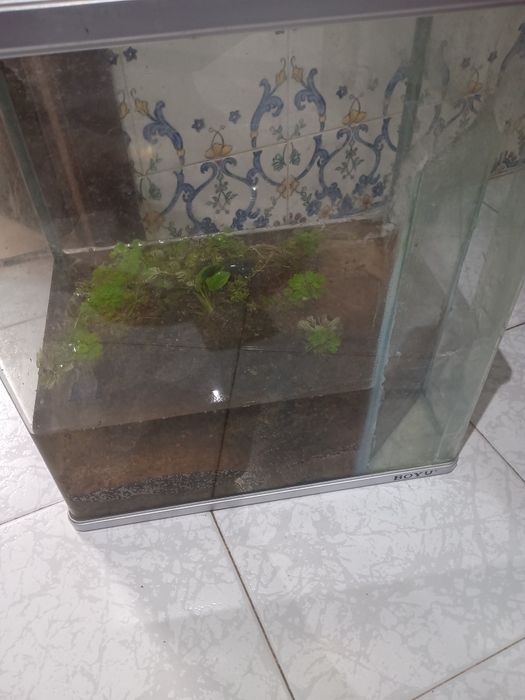 Aquário usado Urgente