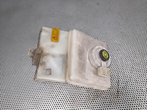 Servofreio FORD Transit Connect I (P65_, P70_, P80_)