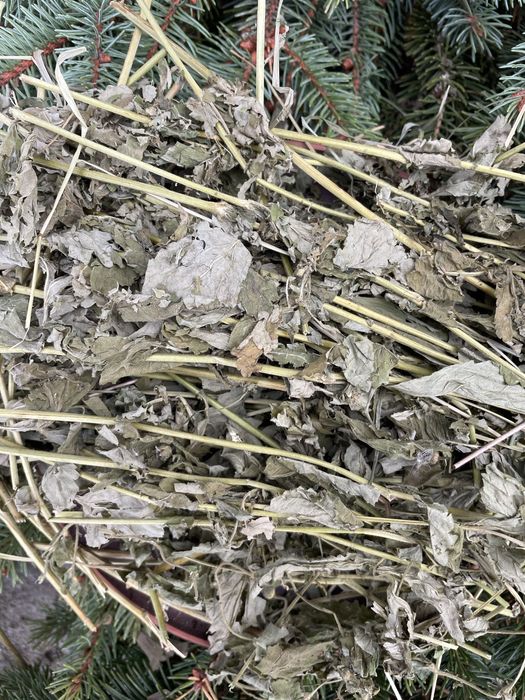 Череда , трава череди