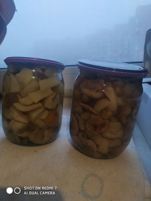 Продаю грибочки мариновані білі і маслята