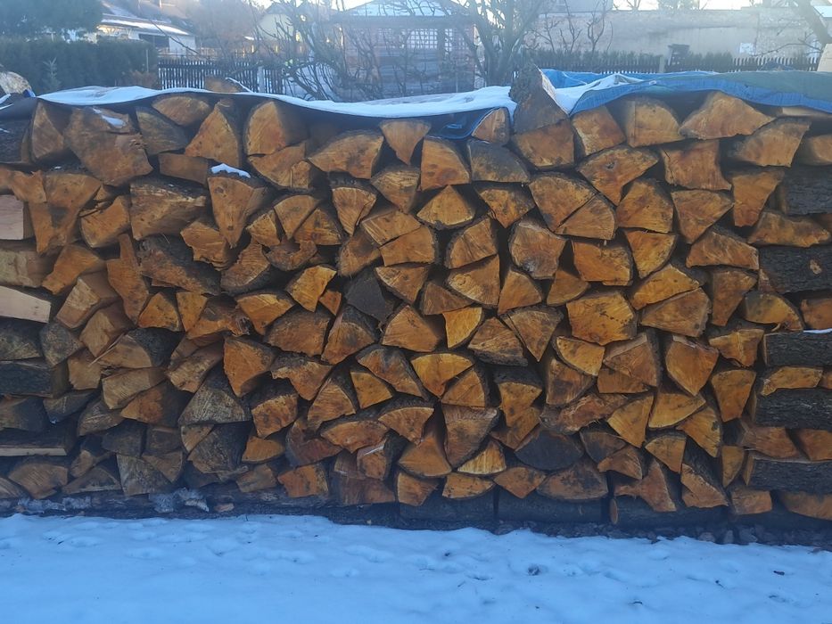 Drzewo kominkowe Olcha