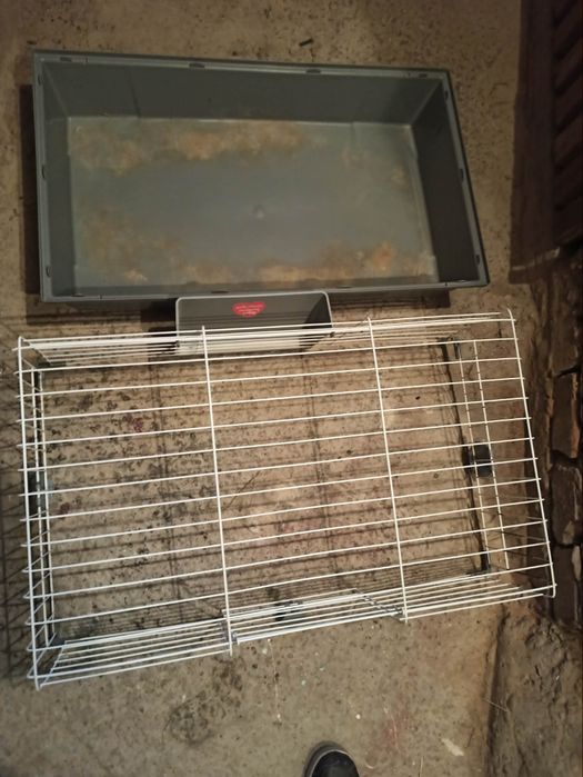 Klatka dla świnki morskiej królika 40x70