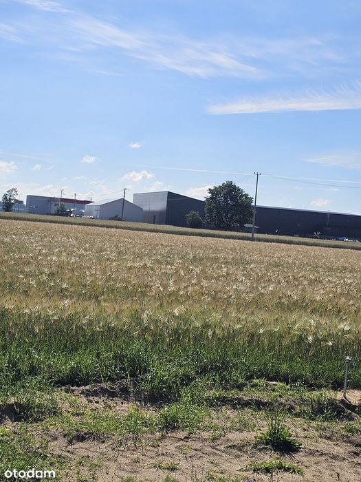 Działka inwestycyjna Poczernin/ Płońska,  węzeł S7