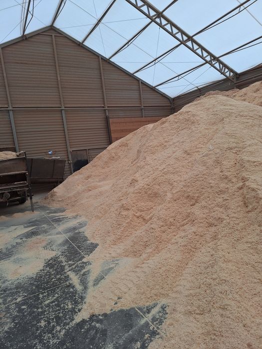 Skup trocin czystych,klocków zrzyn suchych