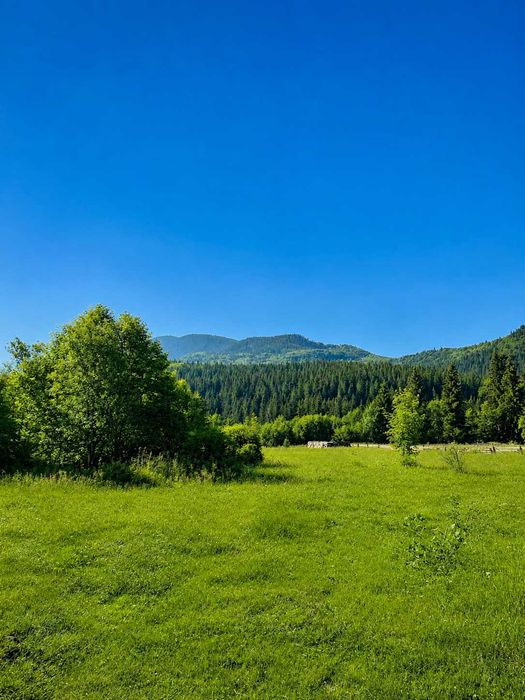10 соток біля підніжжя Говерли | КПП Заросляк