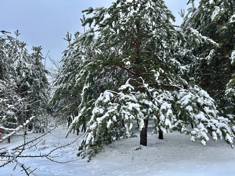Земельна ділянка. Терміново!!! с.Бабинці.