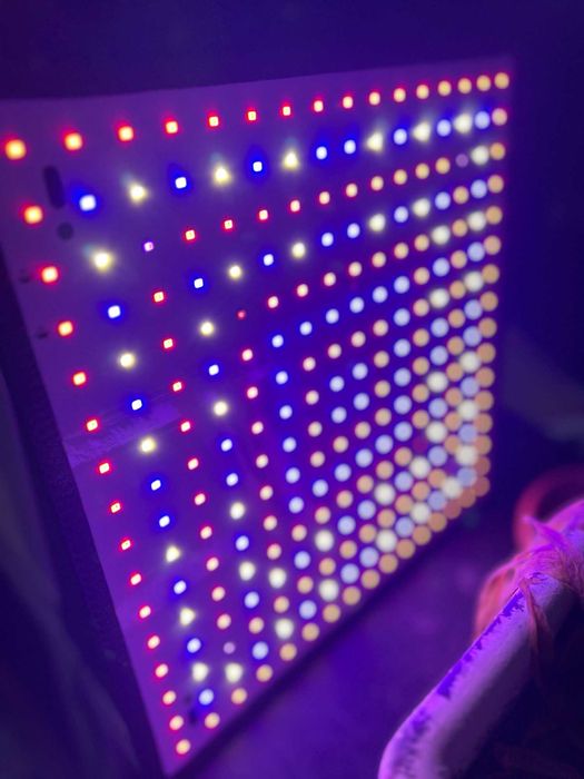 Luz Lâmpada Led UV Blue 2000w Estufas Crescimento Planta