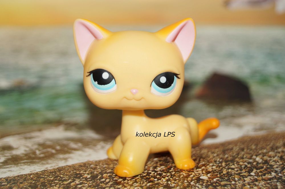 LPS Littlest Pet Shop shorthair #339 Brooklyn oryginalny pop