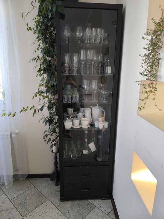 Meble witryn do salonu