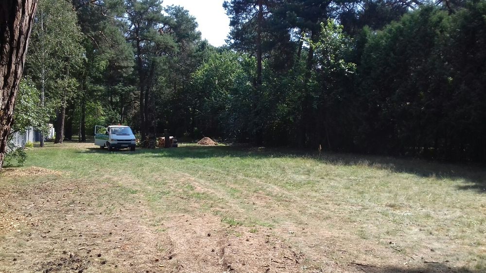 Wycinka pielęgnacja drzew rębak czyszczenie koszenie działek mielenie