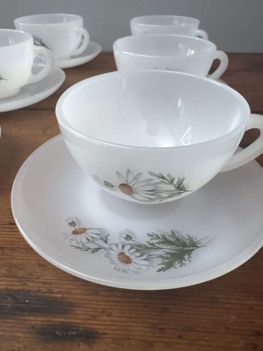 Vintage Conjunto 6 chavenas cafe Malmequer Arcopal