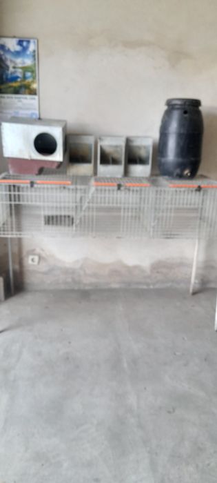 Animais de Quinta