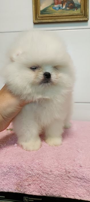 Кукляшная девочка